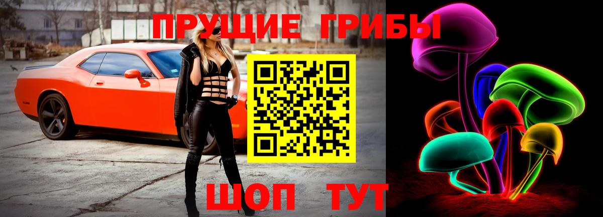 Назрань  купить наркоту  Вход с VPN  Галлюциногенные грибы мицелий 